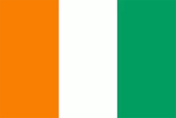 科特迪瓦 队徽