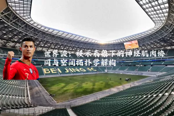 世界波:技术表象下的神经肌肉协同与空间拓扑学解构